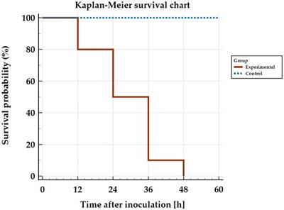 Apoptosis activation during Lagovirus europaeus/GI.2 infection in rabbits
